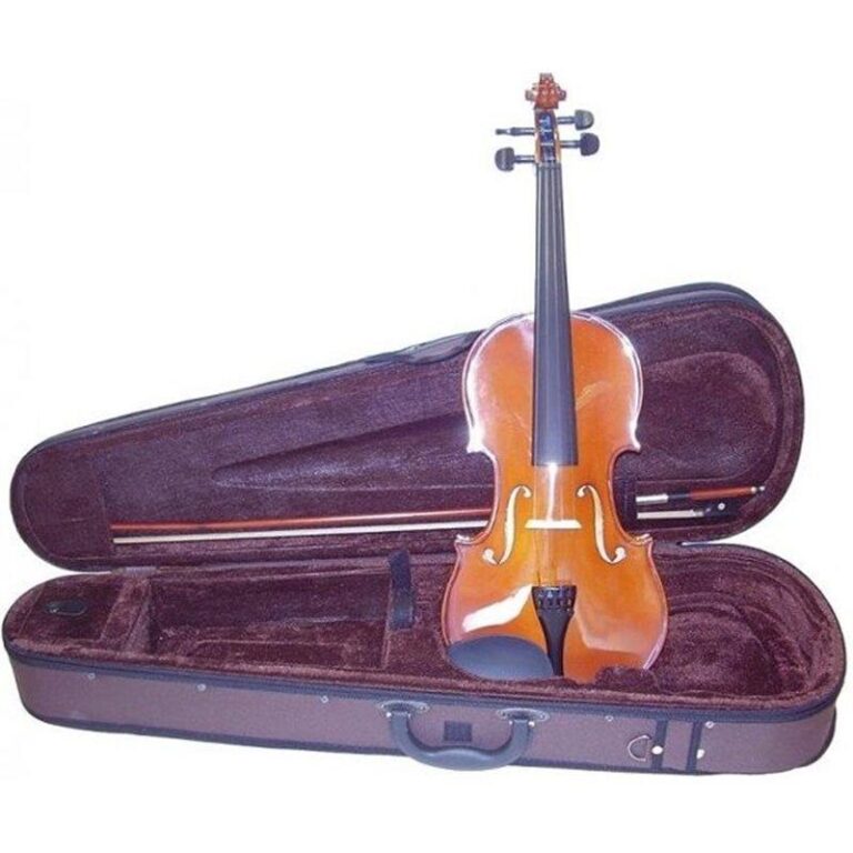 Top 5 violines baratos para principiantes