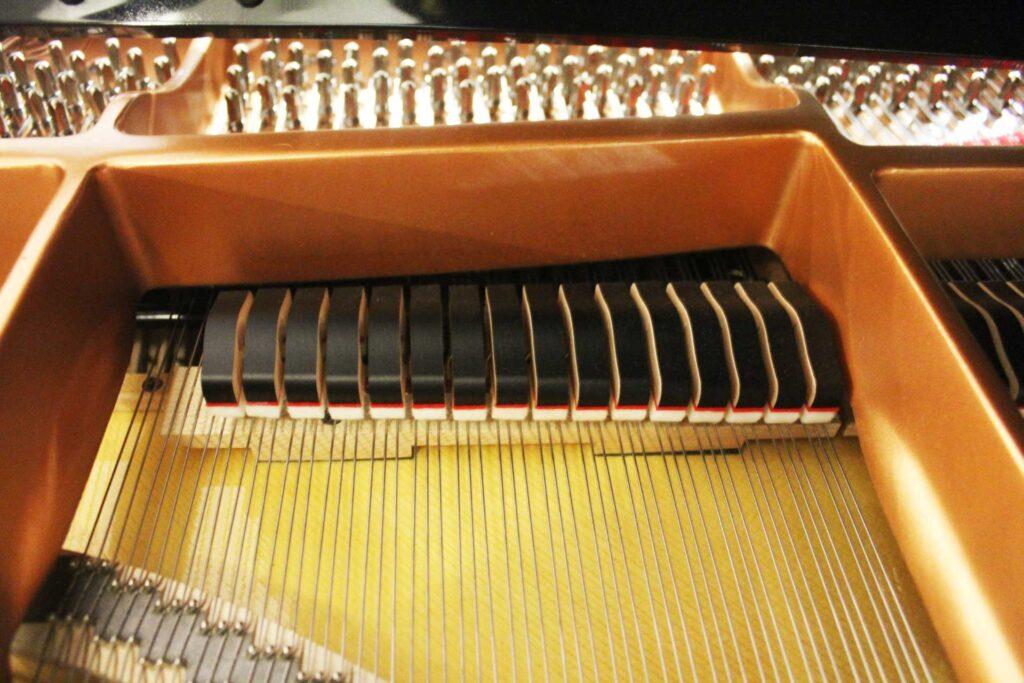 Interior de piano de cola apagadores y clavijas