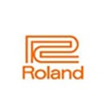 Amplificadores Roland